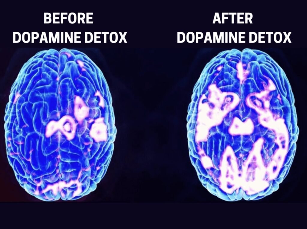 dopamine functions in brain vs dopamine detox myth chart