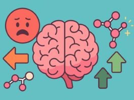 Dopamine and Avoidance Learning: What This New Study Reveals About the Brain